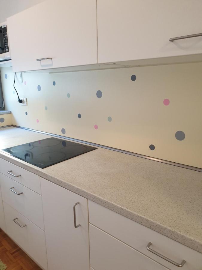 Apartment Emma Ljubljana - Free Parking, Ac, Wifi Kültér fotó