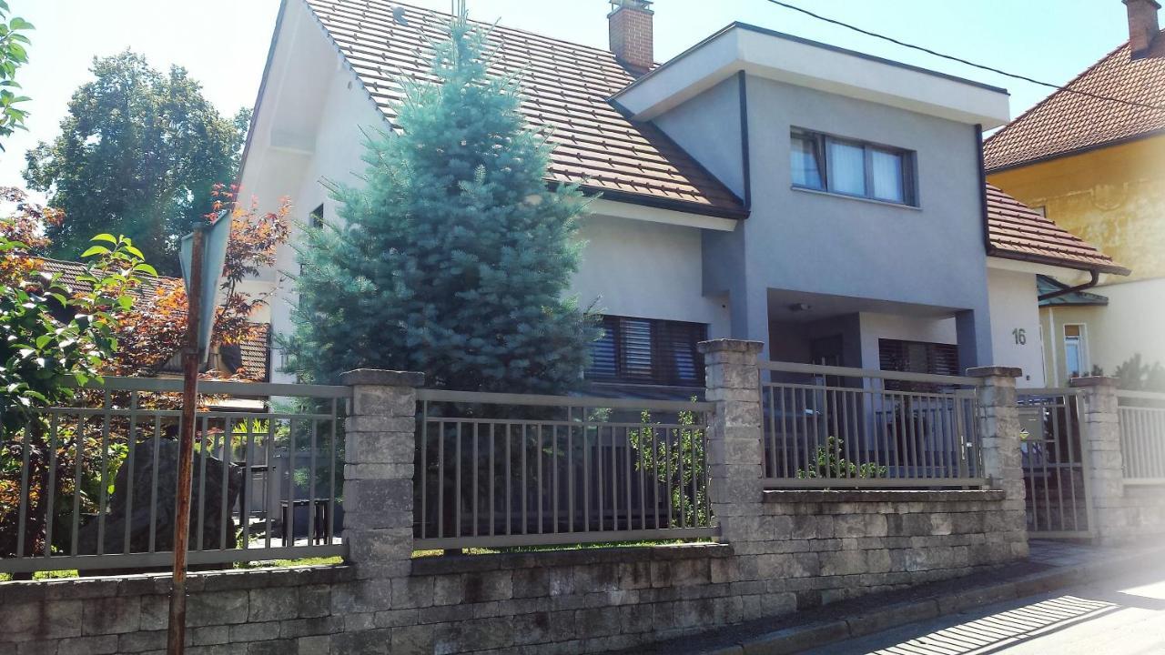 Apartment Emma Ljubljana - Free Parking, Ac, Wifi Kültér fotó